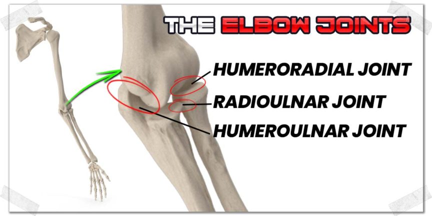 Fixing Elbow Pain From Dips Practical Effective Tips Strength