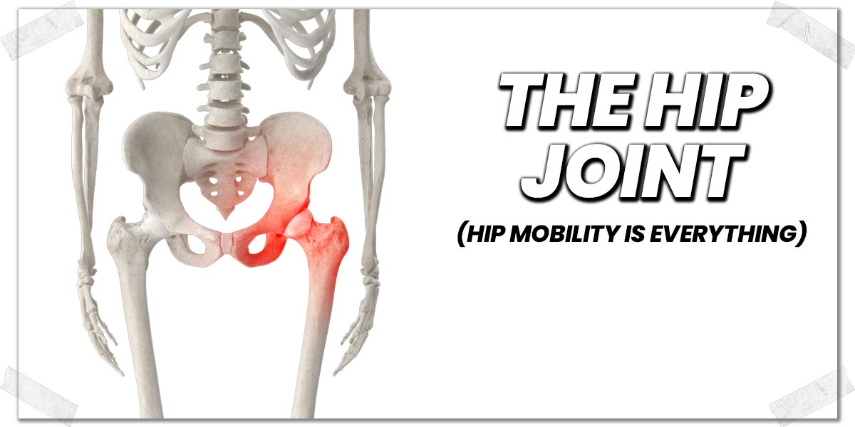 One Hamstring Tighter Than the Other? Here's Your Solution - Strength ...