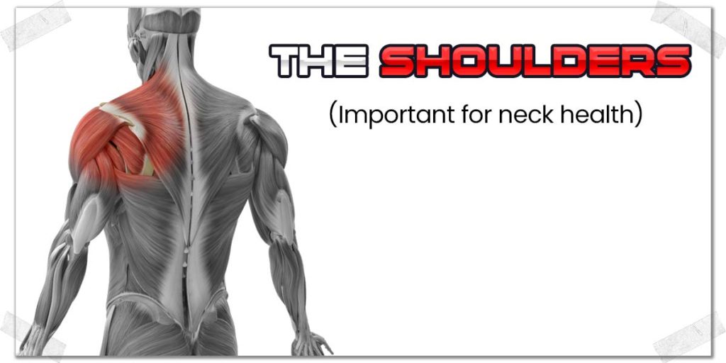 The Little-Known Cause of Pain Between the Shoulder Blades - PainHero
